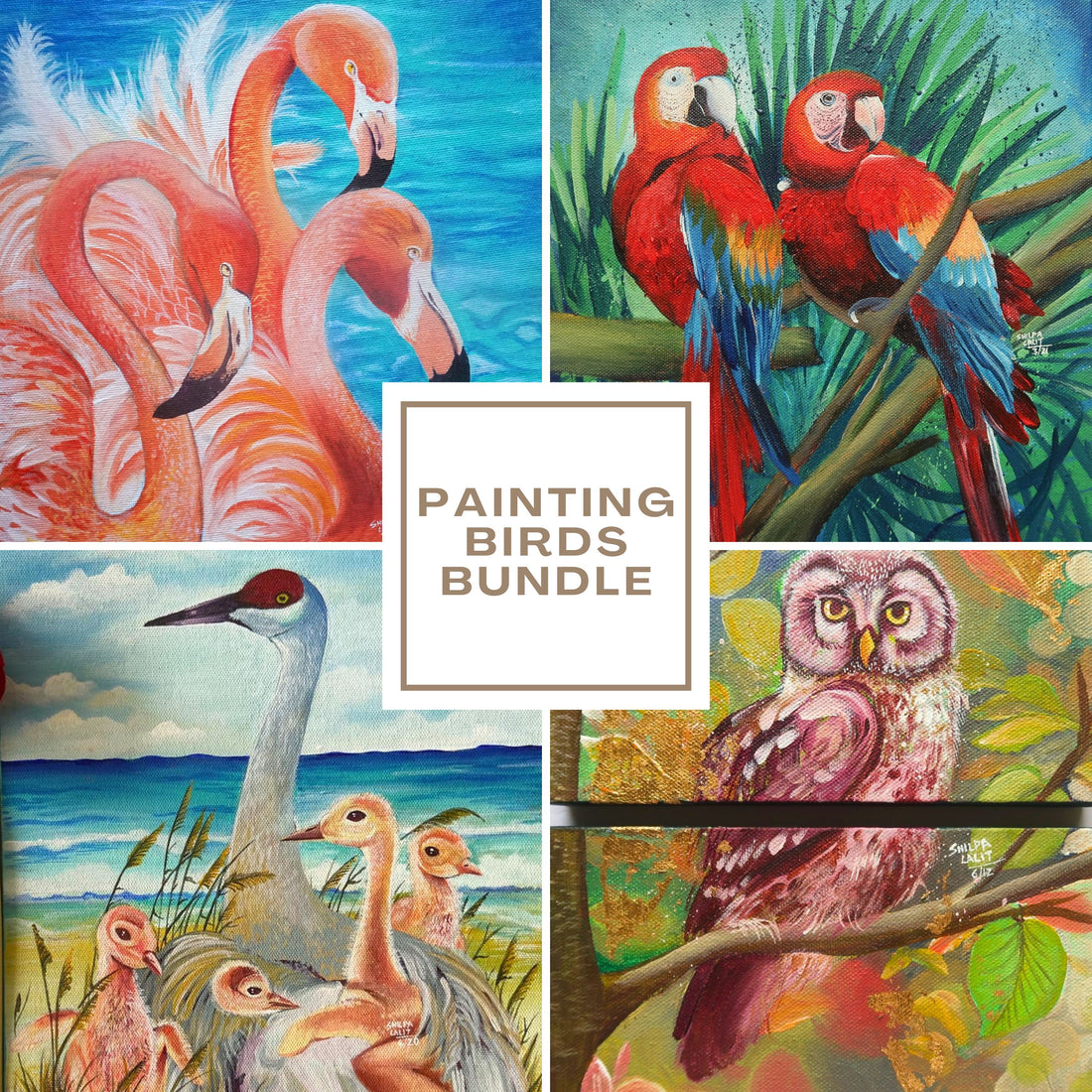 4 birds acrylic painting workshop bundle | Flamingo, Macaw, Owl &amp; Beach Birds | Step by step detailed workshops