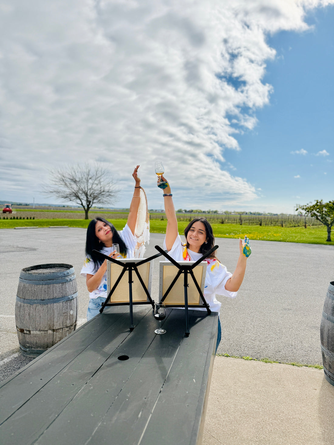 Sip &amp; Paint in the Vines: A wine Tasting, Vineyard Tour &amp; Art Party